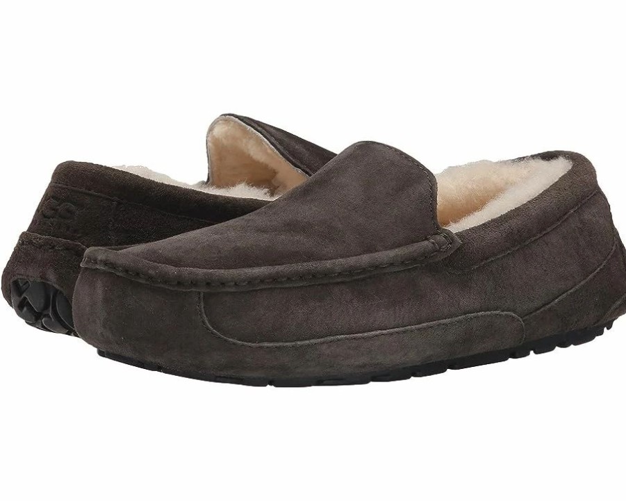 Slippers * | Ugg Ascot